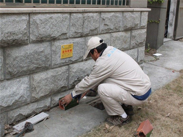 跳蚤防治