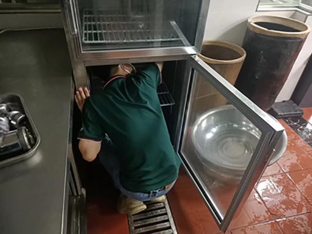 蟑螂防治