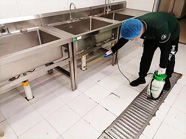 蟑螂防治