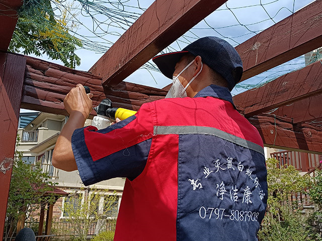 白蚁防治