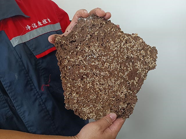 白蚁防治
